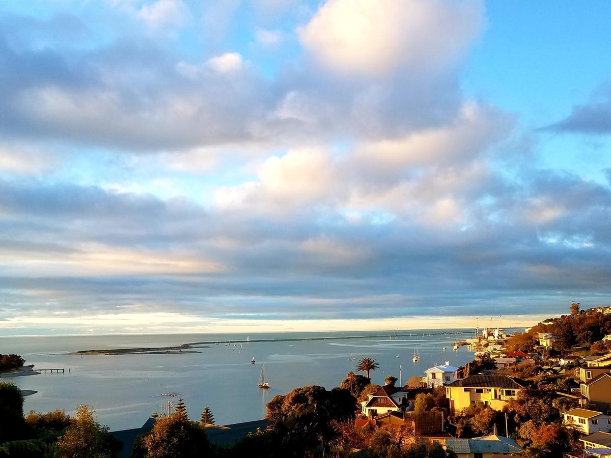 Heights House At The Cliffs Bed & Breakfast Nelson Dış mekan fotoğraf